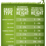 grass mowing height