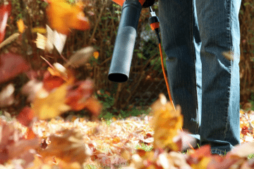 Spring & Fall Cleanup