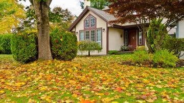 Fall Lawn Services